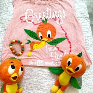 Orange Bird 🍊